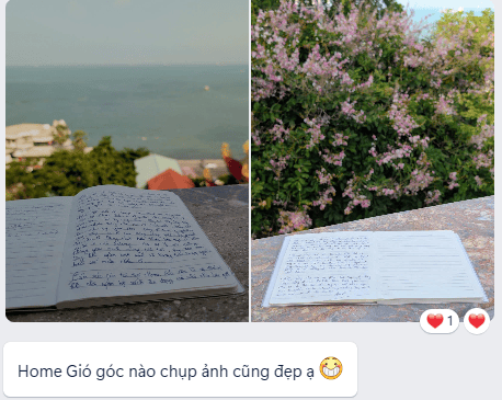 Ikigai homestay - khoảnh khắc đẹp
